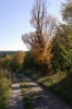 IMGP3956.JPG